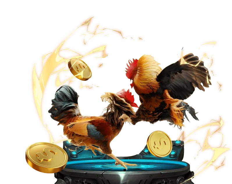 Đá gà Campuchia K88